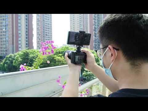 Держатель телефона на штатив и камеру фотоаппарата крепление 1/4 дюйма и Cold Shoe башмак Ulanzi, видео 1