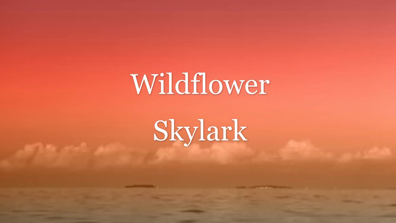 Skylark Wildflower Lyrics YouTube