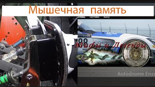 💡Мифы, легенды и советы! Всё о датчиках давления "Load Cell" в симрейсинге. №3- Мышечная память 🦾👀💪