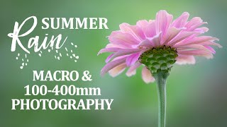 Summer Rain Photo Walk with Macro Lenses & 100-400mm Lens
