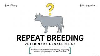 REPEAT BREEDING IN CATTLE | Causes, Diagnosis & Management | Veterinary Gynaecology | BVSc | ICAR PG Update