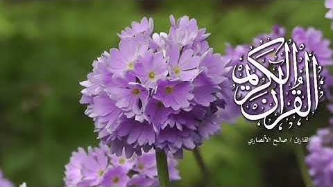 خواتيم سورة الدخان ... القارئ / صالح الأنصاري ... قناة طلة.