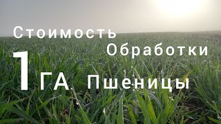 УРОЖАЙ 🌾 ВСЁ СКАЖЕТ. апреля 2024 г.