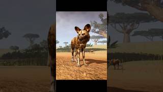 #planetzoo African Wild Dog Complete Care Guide #gaming2026