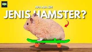 7 Jenis Hamster yang Cocok Untuk di Pelihara