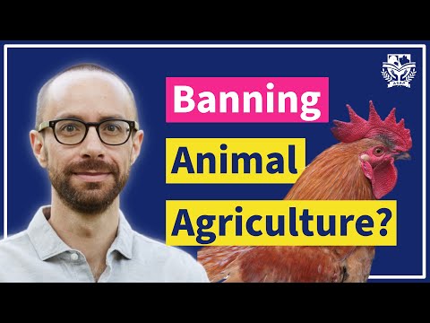 NYU Professor on Banning Animal Farming ASAP