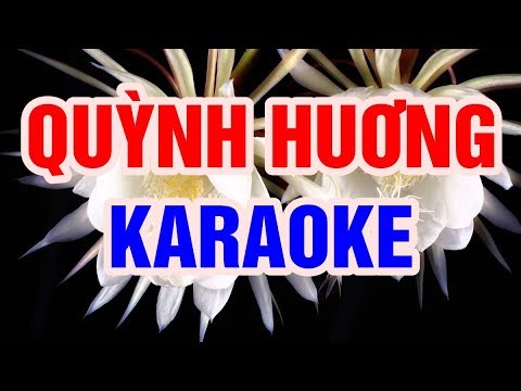 Quỳnh Hương  - Karaoke Beat Chuẩn 2018 || Nhạc Sống Thanh Ngân