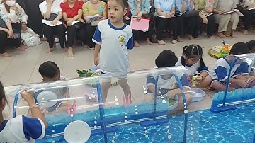 Tạo hình con vật sống dưới biển (STEAM) - Sinh hoạt chuyên đề Trường MN TT Tầm Vu