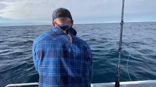 School Bluefin Tuna caught off Apollo Bay (Bar Crusher 670HT)