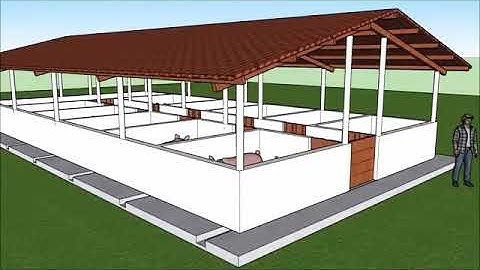 Cách xây dựng chuồng nái đơn giản