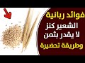 فوائد الشعير عملاقة تخلص من سموم الجسم إلى الأبد عندما وحافظ على صحة قلبك إذا تناولت الشعير بالطرق 