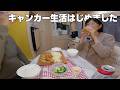 キャンピングカーって本当に快適?60代夫婦のリアルな体験談