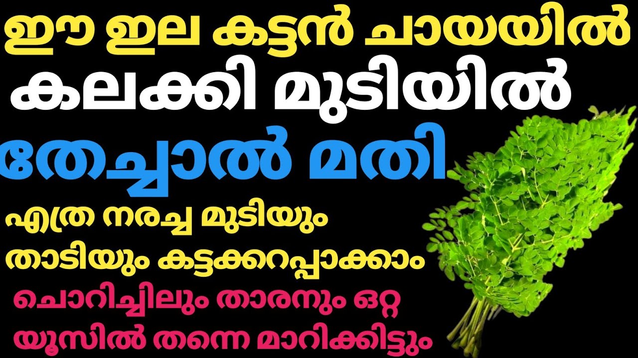 മുരിങ്ങയില മതി എത്ര നനച്ചു മുടിയും ഒറ്റ യൂസില് കട്ടക്കറപ്പാക്കാം /Natural  Hair Dye.