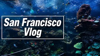 San Francisco Vlog l Alcatraz l Oracle Park l Aquarium