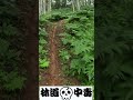 All Around Me #enduro#hillclimb