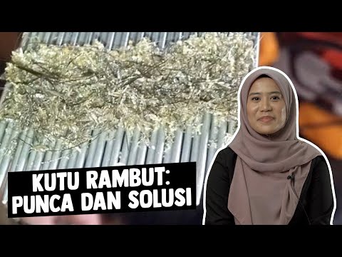 Video: Kaedah untuk merawat premis daripada kutu