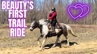 This Auction Mare Seems Great! But Can She Conquer The Trail?