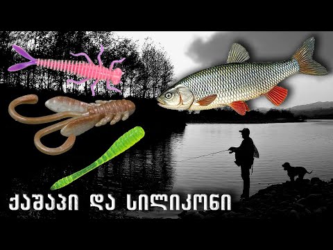 ქაშაპი და სილიკონი