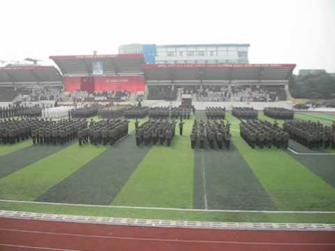 www.voduongthanhphong.com.vn - youtube