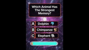 Can You Get 2/2? #quiz #quiztime #quizzes #quizchallenge #quizgames #braingame #fyp