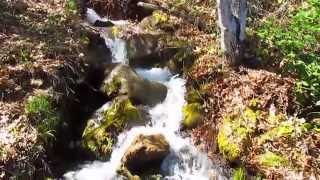 Ashland, Oregon
