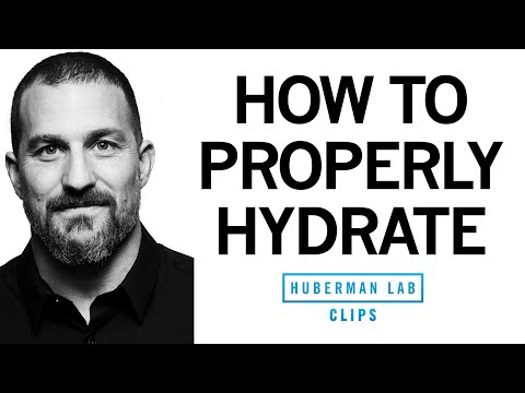 How to Properly Hydrate & How Much Water to Drink Each Day | Dr. Andrew Huberman