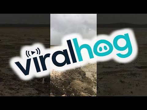 Dried up Beach in the Bahamas || ViralHog