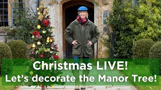 CHRISTMAS Live! First look at our Christmas Tree in the Manor!