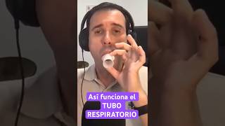 Así funciona el tubo respiratorio