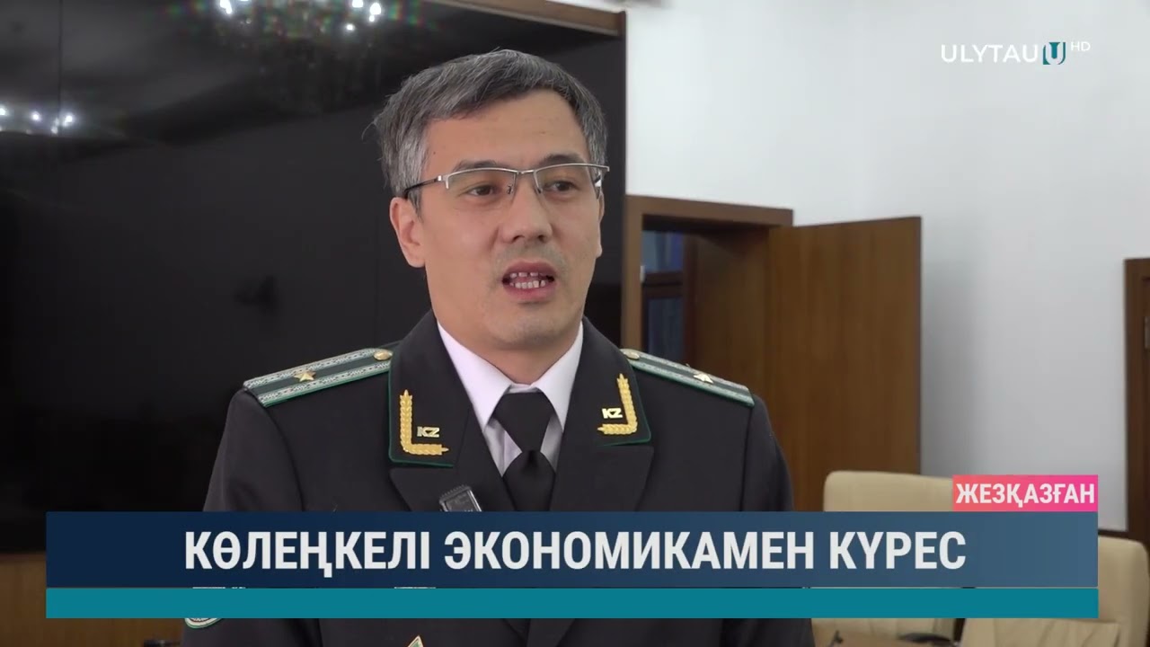 Көлеңкелі экономикамен күрес