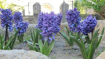 Santa Coloma de Farners in Catalonia (Spain)