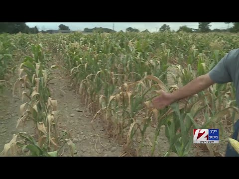 Local farms feeling