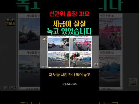 세금이 살살 녹고 있습니다. 선관위 출장 파묘
