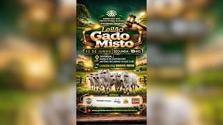 LEILÃO MISTO - SIND. RURAL DE PRESIDENTE OLEGÁRIO 22/06/2026