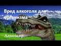 Вред алкоголя для организма человека кратко