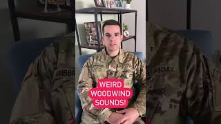 The WEIRDEST Woodwind Sounds #shorts Resimi