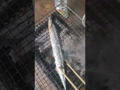 秋刀魚(さんま)の炭火焼きが旨すぎる。#炭火焼き #おつまみ #バーベキュー #クラフトジン #rokumoji #ろくもじ #サンマ #秋刀魚 #さんま