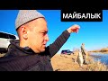 КАРАСЬ ПРЕТ КАК С ПУЛЕМЕТА! ДОРОГА НА МАЙБАЛЫК!