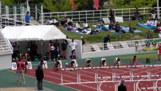 20170429 第16回阪奈和高等学校対抗陸上競技大会 男子110mH T決勝 1組 MRTKNN
