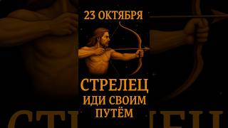 Гороскоп для Стрельца на 23 октября #гороскопсегодня #гороскопназавтра #стрелецтаропрогноз #гороскоп