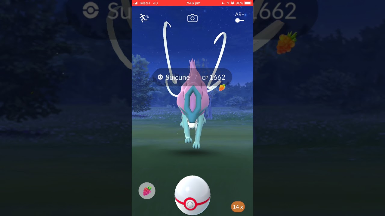 POKÉMON GO LEVEL 5 RAID SUICUNE