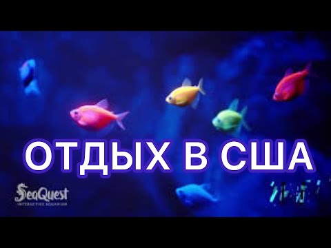 №263 | Прохождение и обзор SeaQuest Folsom CA