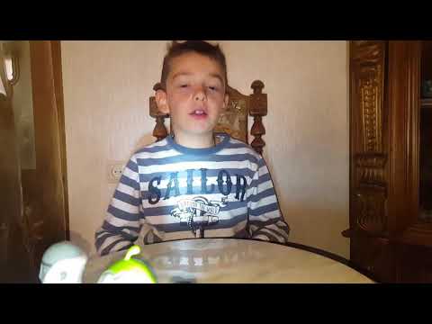 ჩიფსის ჩეილენჯი