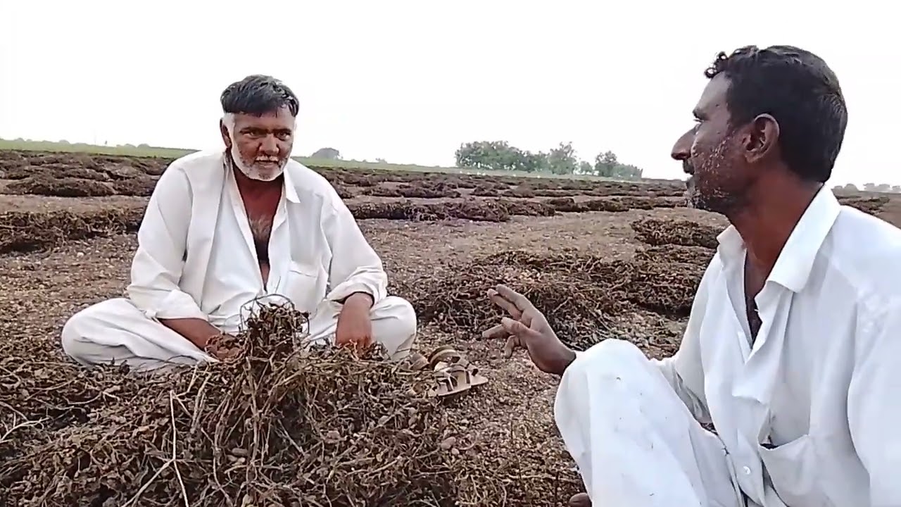 6 નવેમ્બર, 2025