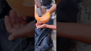 Vietnam Big Red karfu Fish injection System #shorts