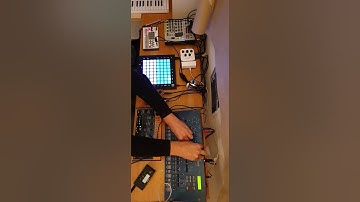 Techno Jam [Dawless Setup] - Korg Volca Sample - Behringer Crave -Korg MS2000 - Novation Launchpad