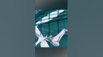 A flying robot that moves like a real Bat?!