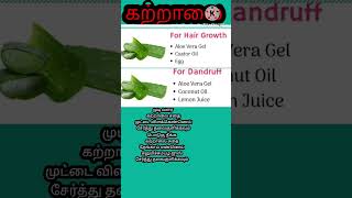 கற்றாலை aloevera tamil tips