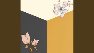 Easy Backdrops for Laidback Refraction