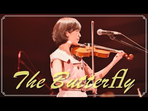 The Butterfly／Mizuki Mizutani (Violin)